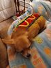 Filename=20240814_015.jpg
Filesize=334KiB
Dimensions=1536x2048
Date added=Jun 01, 2025 20240814_015.jpg
