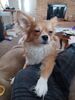 Filename=20240815_001.jpg
Filesize=308KiB
Dimensions=1536x2048
Date added=Jun 01, 2025 20240815_001.jpg