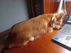 Filename=20240821_002.jpg
Filesize=365KiB
Dimensions=2048x1536
Date added=Jun 01, 2025 20240821_002.jpg