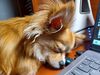 Filename=20240821_004.jpg
Filesize=413KiB
Dimensions=2048x1536
Date added=Jun 01, 2025 20240821_004.jpg