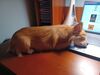 Filename=20240821_005.jpg
Filesize=286KiB
Dimensions=2048x1536
Date added=Jun 01, 2025 20240821_005.jpg