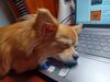 Filename=20240821_006.jpg
Filesize=319KiB
Dimensions=2048x1536
Date added=Jun 01, 2025 20240821_006.jpg