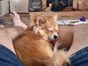 Filename=20240824_001.jpg
Filesize=577KiB
Dimensions=2048x1536
Date added=Jun 01, 2025 20240824_001.jpg
