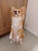 Filename=20240824_018.jpg
Filesize=138KiB
Dimensions=1536x2048
Date added=Jun 01, 2025 20240824_018.jpg