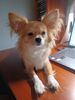 Filename=20240827_001.jpg
Filesize=276KiB
Dimensions=1536x2048
Date added=Jun 01, 2025 20240827_001.jpg