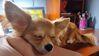 Filename=20240828_001.jpg
Filesize=225KiB
Dimensions=2047x1160
Date added=Jun 01, 2025 20240828_001.jpg