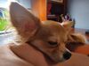 Filename=20240828_002.jpg
Filesize=287KiB
Dimensions=2048x1536
Date added=Jun 01, 2025 20240828_002.jpg