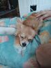 Filename=20240830_001.jpg
Filesize=328KiB
Dimensions=1536x2048
Date added=Jun 01, 2025 20240830_001.jpg