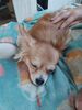 Filename=20240830_002.jpg
Filesize=361KiB
Dimensions=1536x2048
Date added=Jun 01, 2025 20240830_002.jpg