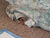 Filename=20240831_003.jpg
Filesize=433KiB
Dimensions=2048x1536
Date added=Jun 01, 2025 20240831_003.jpg