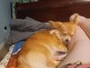 Filename=20240902_001.jpg
Filesize=281KiB
Dimensions=2048x1536
Date added=Jun 02, 2025 20240902_001.jpg