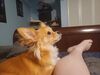 Filename=20240902_002.jpg
Filesize=220KiB
Dimensions=2048x1536
Date added=Jun 02, 2025 20240902_002.jpg