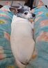 Filename=20240903_002.jpg
Filesize=319KiB
Dimensions=1444x2047
Date added=Jun 02, 2025 20240903_002.jpg