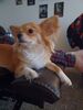 Filename=20240908_003.jpg
Filesize=175KiB
Dimensions=1536x2048
Date added=Jun 02, 2025 20240908_003.jpg