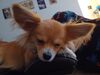 Filename=20240908_006.jpg
Filesize=183KiB
Dimensions=2048x1536
Date added=Jun 02, 2025 20240908_006.jpg