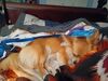 Filename=20240909_002.jpg
Filesize=322KiB
Dimensions=2048x1536
Date added=Jun 02, 2025 20240909_002.jpg