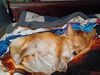 Filename=20240909_004.jpg
Filesize=293KiB
Dimensions=2048x1536
Date added=Jun 02, 2025 20240909_004.jpg