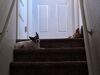 Filename=20240909_005.jpg
Filesize=404KiB
Dimensions=2048x1536
Date added=Jun 02, 2025 20240909_005.jpg