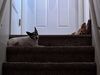 Filename=20240909_006.jpg
Filesize=378KiB
Dimensions=2048x1536
Date added=Jun 02, 2025 20240909_006.jpg