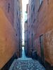 Filename=20240914_015.jpg
Filesize=439KiB
Dimensions=1536x2048
Date added=Jun 02, 2025 20240914_015.jpg