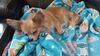 Filename=20241002_003.jpg
Filesize=272KiB
Dimensions=2048x1152
Date added=Jun 03, 2025 20241002_003.jpg