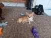 Filename=20241002_007.jpg
Filesize=776KiB
Dimensions=2048x1536
Date added=Jun 03, 2025 20241002_007.jpg