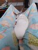 Filename=20241002_010.jpg
Filesize=429KiB
Dimensions=1536x2048
Date added=Jun 03, 2025 20241002_010.jpg