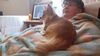 Filename=20241003_003.jpg
Filesize=268KiB
Dimensions=2048x1152
Date added=Jun 03, 2025 20241003_003.jpg