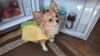 Filename=20241004_006.jpg
Filesize=209KiB
Dimensions=2048x1152
Date added=Jun 03, 2025 20241004_006.jpg