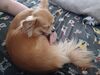 Filename=20241004_007.jpg
Filesize=469KiB
Dimensions=2048x1536
Date added=Jun 03, 2025 20241004_007.jpg