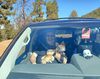 Filename=20241005_014.jpg
Filesize=542KiB
Dimensions=2047x1623
Date added=Jun 03, 2025 20241005_014.jpg