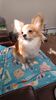 Filename=20241007_001.jpg
Filesize=230KiB
Dimensions=1152x2048
Date added=Jun 03, 2025 20241007_001.jpg