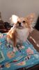 Filename=20241007_002.jpg
Filesize=177KiB
Dimensions=1152x2048
Date added=Jun 03, 2025 20241007_002.jpg