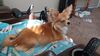Filename=20241007_003.jpg
Filesize=296KiB
Dimensions=2048x1152
Date added=Jun 03, 2025 20241007_003.jpg