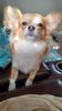 Filename=20241007_004.jpg
Filesize=202KiB
Dimensions=1152x2048
Date added=Jun 03, 2025 20241007_004.jpg