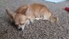 Filename=20241009_001.jpg
Filesize=374KiB
Dimensions=2048x1152
Date added=Jun 03, 2025 20241009_001.jpg