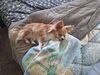 Filename=20241013_003.jpg
Filesize=775KiB
Dimensions=2048x1536
Date added=Jun 03, 2025 20241013_003.jpg