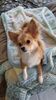 Filename=20241014_001.jpg
Filesize=200KiB
Dimensions=1152x2048
Date added=Jun 03, 2025 20241014_001.jpg