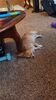 Filename=20241014_006.jpg
Filesize=372KiB
Dimensions=1152x2048
Date added=Jun 03, 2025 20241014_006.jpg