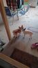 Filename=20241017_001.jpg
Filesize=211KiB
Dimensions=1152x2048
Date added=Jun 03, 2025 20241017_001.jpg