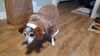 Filename=20241021_004.jpg
Filesize=296KiB
Dimensions=2048x1152
Date added=Jun 03, 2025 20241021_004.jpg