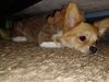 Filename=20241021_005.jpg
Filesize=541KiB
Dimensions=2048x1536
Date added=Jun 03, 2025 20241021_005.jpg