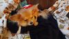 Filename=20241106_001.jpg
Filesize=227KiB
Dimensions=2048x1152
Date added=Jun 14, 2025 20241106_001.jpg