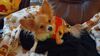 Filename=20241106_002.jpg
Filesize=172KiB
Dimensions=2048x1152
Date added=Jun 14, 2025 20241106_002.jpg