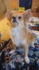 Filename=20241106_007.jpg
Filesize=238KiB
Dimensions=1152x2048
Date added=Jun 14, 2025 20241106_007.jpg
