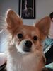 Filename=20241110_004.jpg
Filesize=289KiB
Dimensions=1536x2048
Date added=Jun 14, 2025 20241110_004.jpg