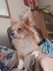 Filename=20241117_002.jpg
Filesize=364KiB
Dimensions=1536x2048
Date added=Jun 14, 2025 20241117_002.jpg