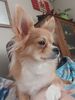 Filename=20241117_003.jpg
Filesize=333KiB
Dimensions=1536x2048
Date added=Jun 14, 2025 20241117_003.jpg