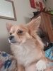 Filename=20241117_004.jpg
Filesize=338KiB
Dimensions=1536x2048
Date added=Jun 14, 2025 20241117_004.jpg