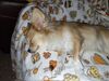 Filename=20241118_002.jpg
Filesize=586KiB
Dimensions=2048x1536
Date added=Jun 14, 2025 20241118_002.jpg
